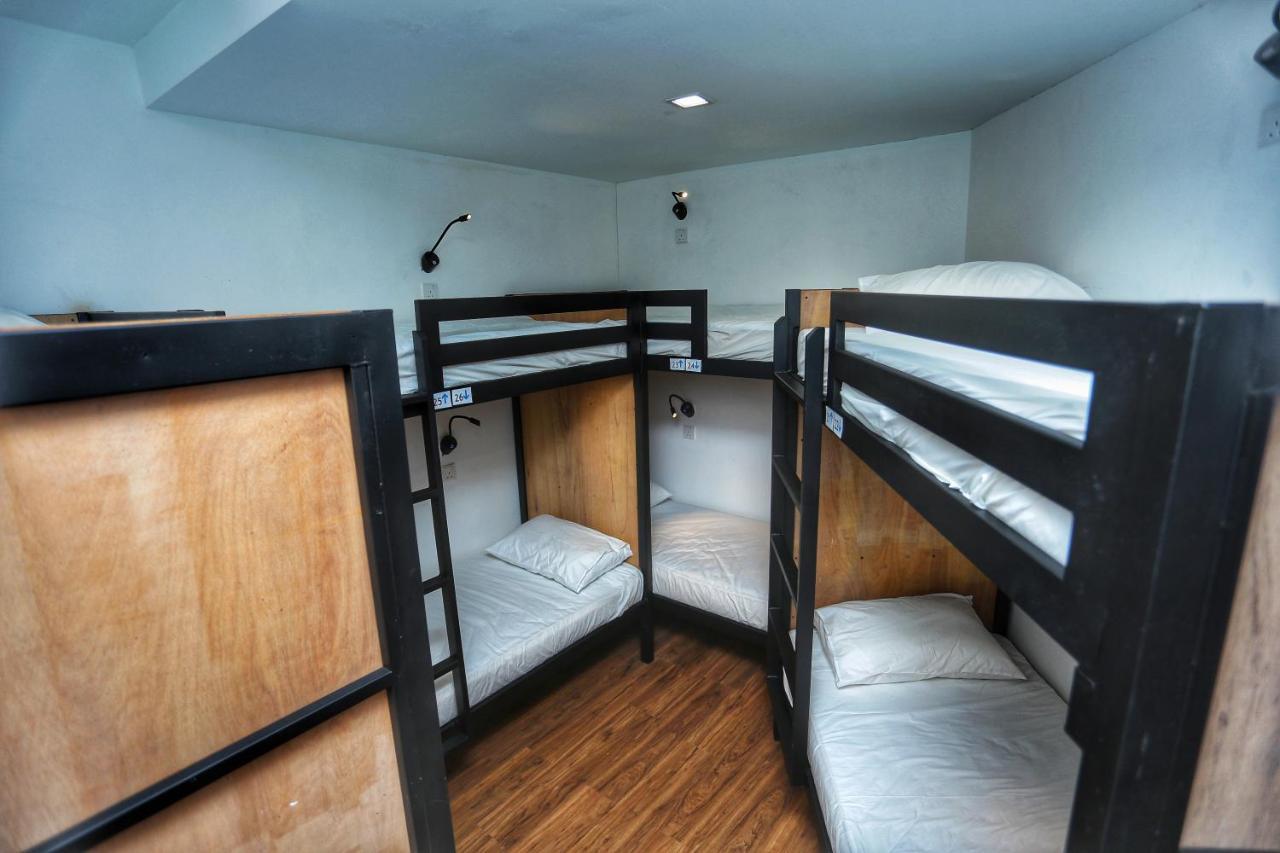 The Bedpackers Asrama